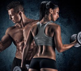 Phifer Fitness